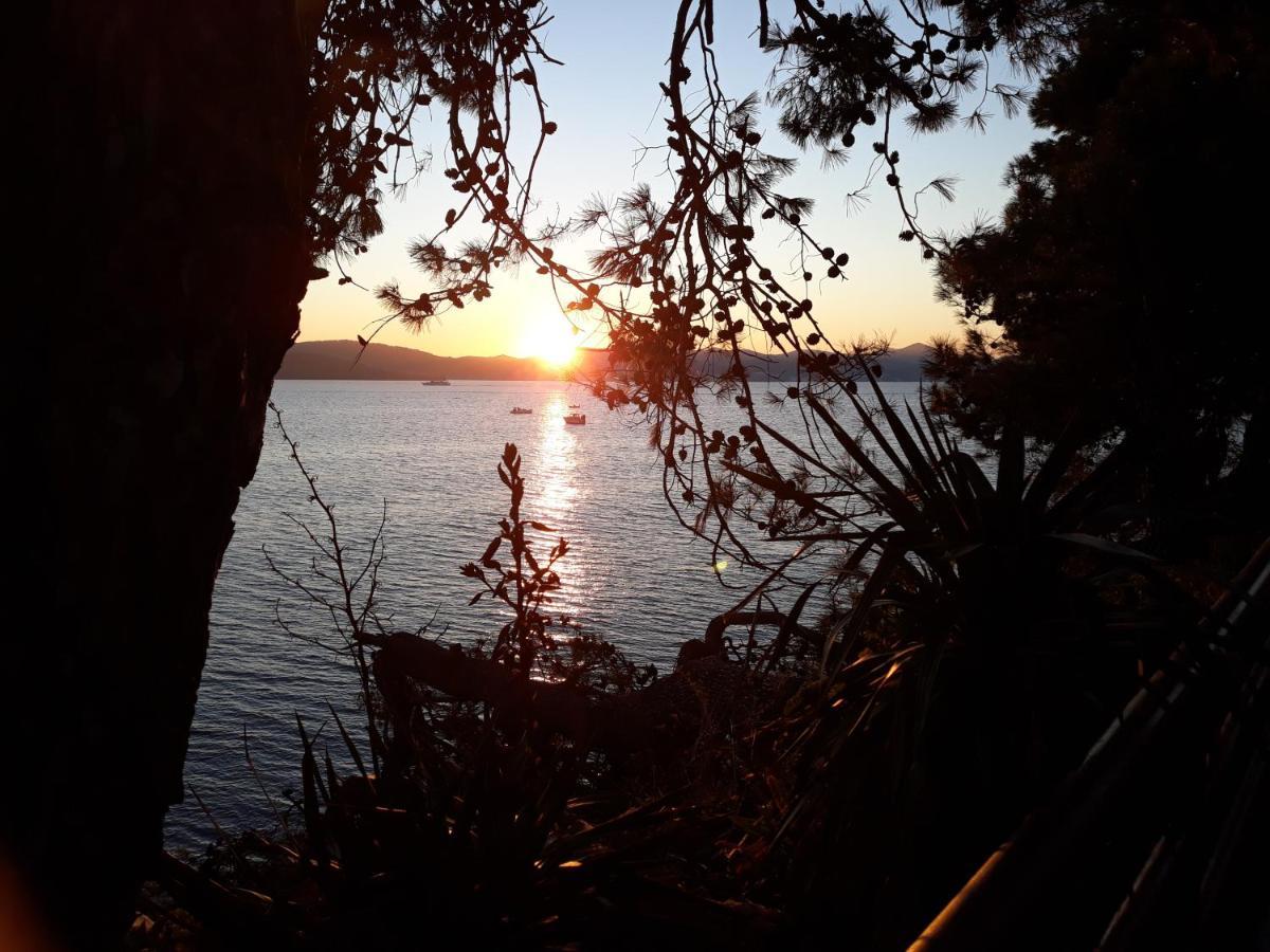 Apartman Milo - Zadar Zewnętrze zdjęcie