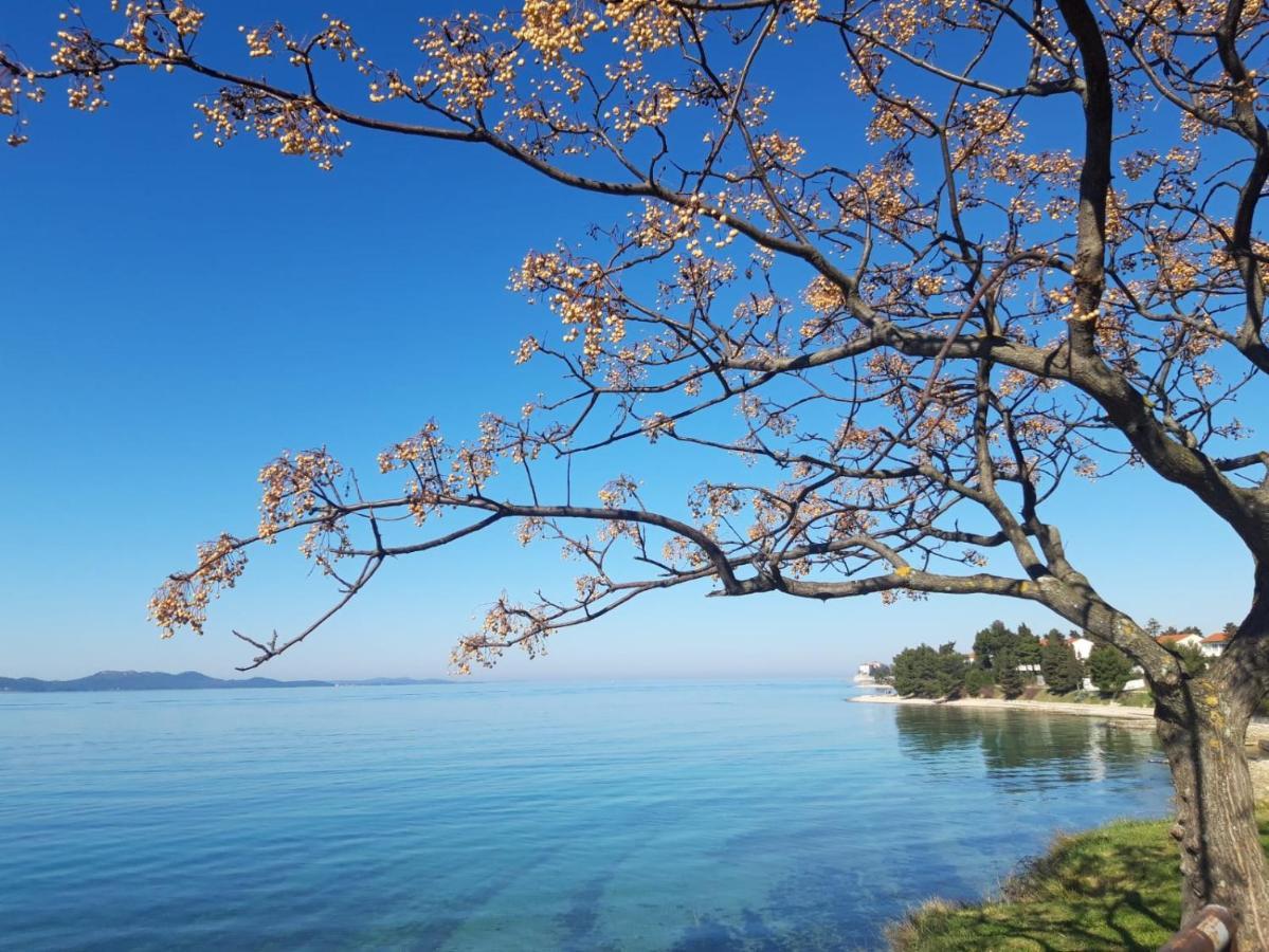 Apartman Milo - Zadar Zewnętrze zdjęcie